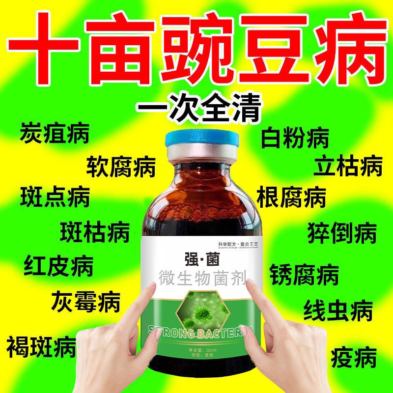 豌豆专用豌豆白粉病菌剂豌豆立枯病根腐病菌核灰斑豌豆霉霜病专用