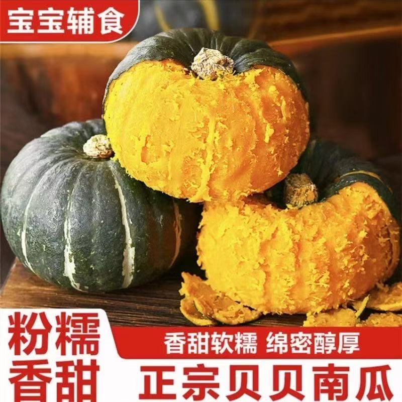【5斤太便宜】新鲜贝贝南瓜正宗贝贝南瓜新鲜采摘蔬菜南瓜1-5斤批发