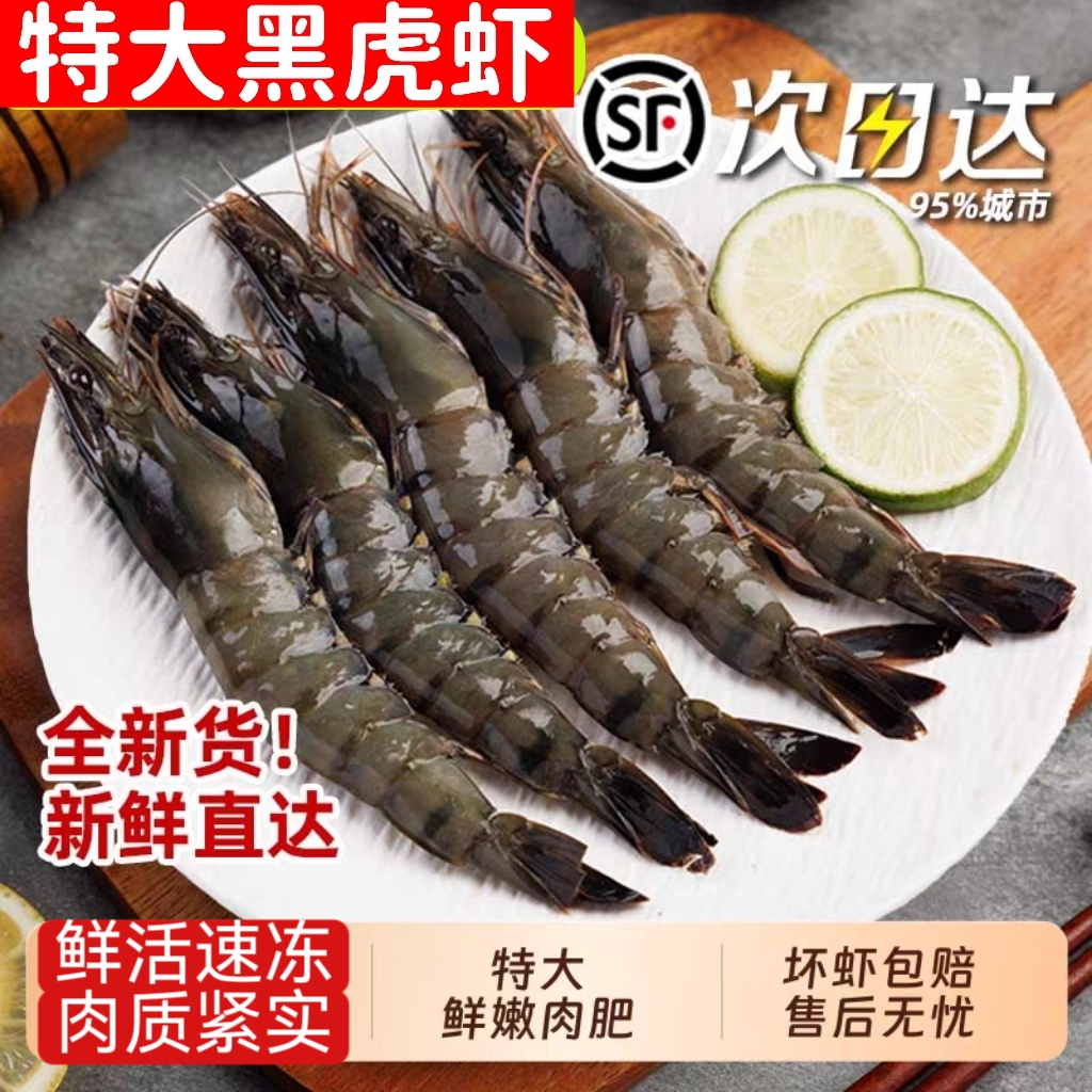 黑虎虾鲜活超大虾鲜活速冻九节虾海鲜水产深海捕捞特大新鲜老虎虾