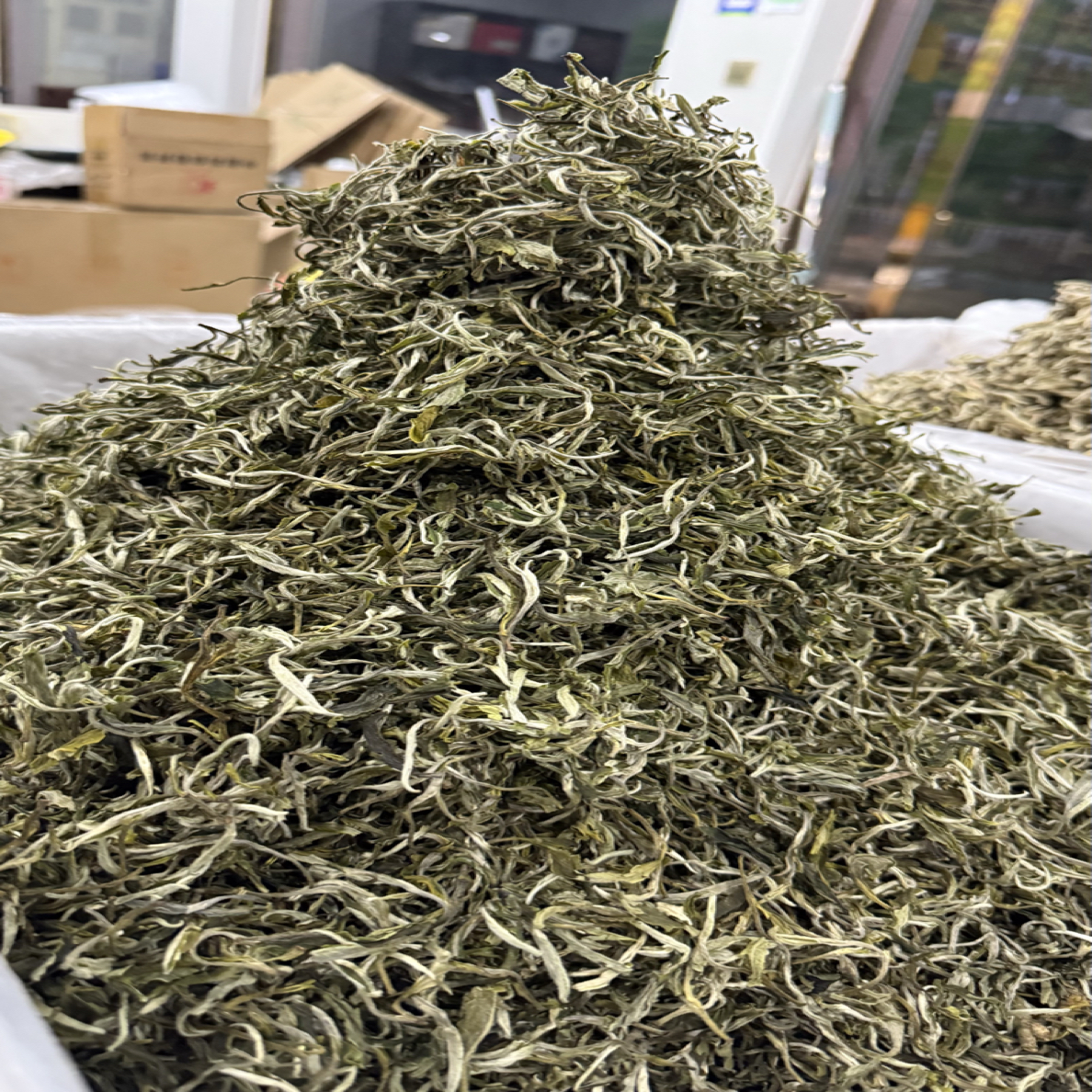 云南天露丝春尖茶（西北新茶普洱茶罐罐茶）