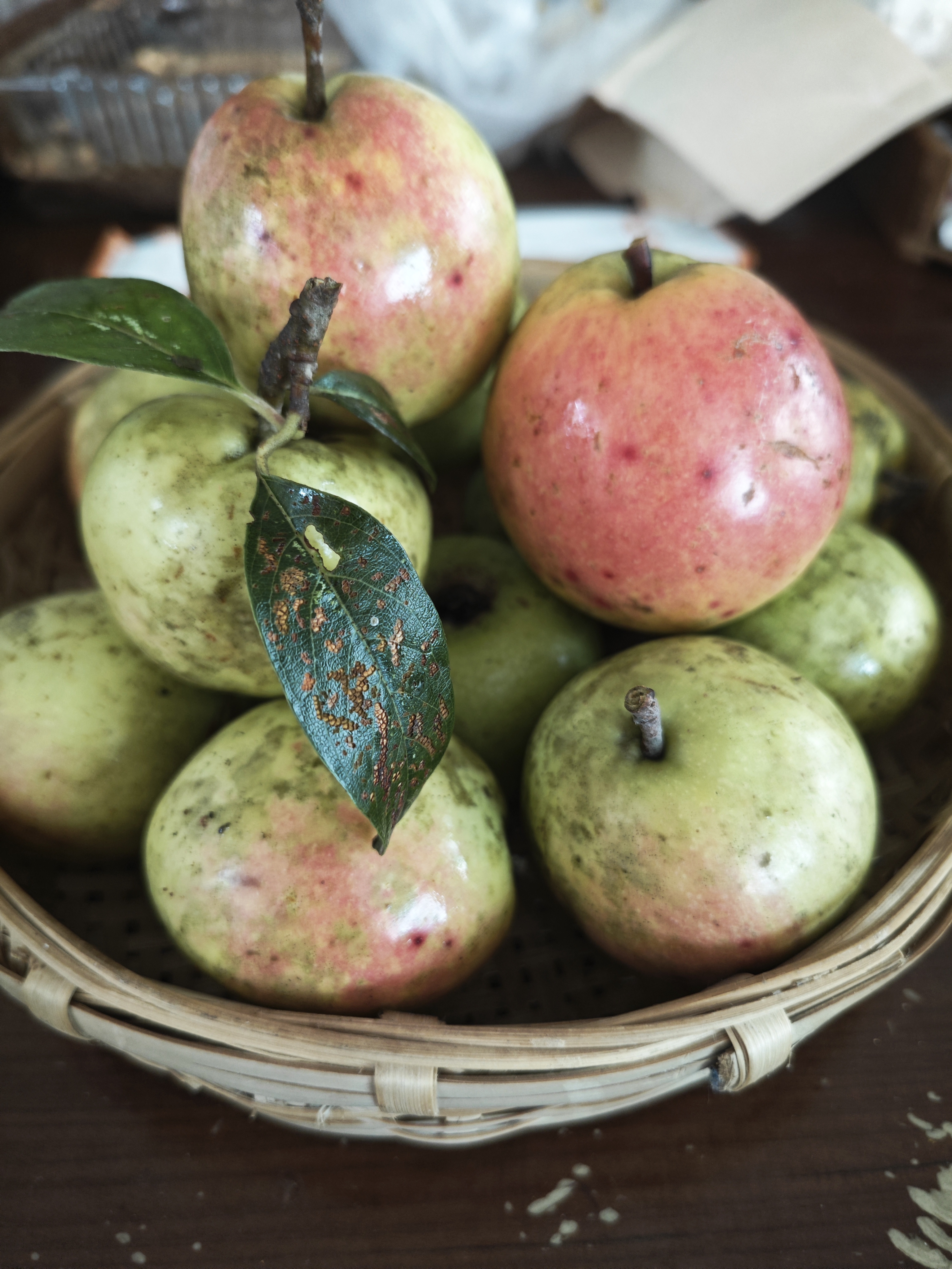 大南美野生酸多依云南老品种多依果新鲜水果浸泡果