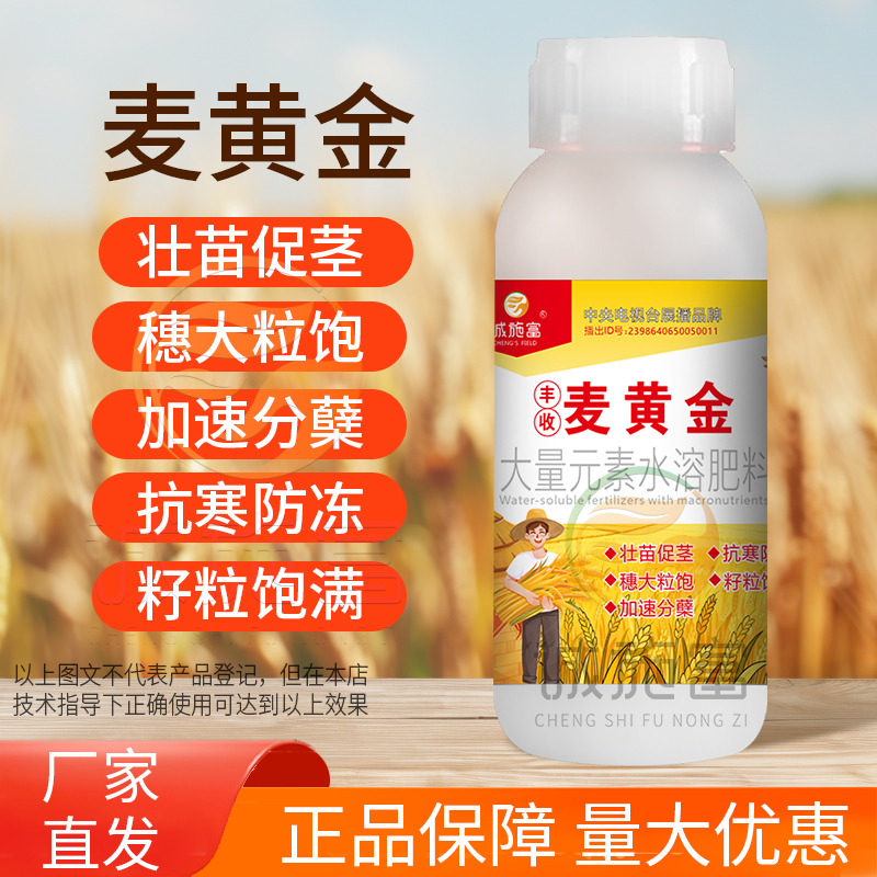 麦黄金增产肥小麦壮苗籽粒饱满促茎抗倒伏分蘖灌浆增产专用叶面肥