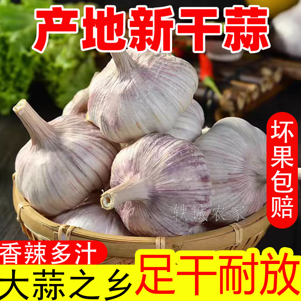 （新干蒜特惠）5斤河南紫白皮大蒜农家自种新鲜晒干大蒜头1斤3斤9斤