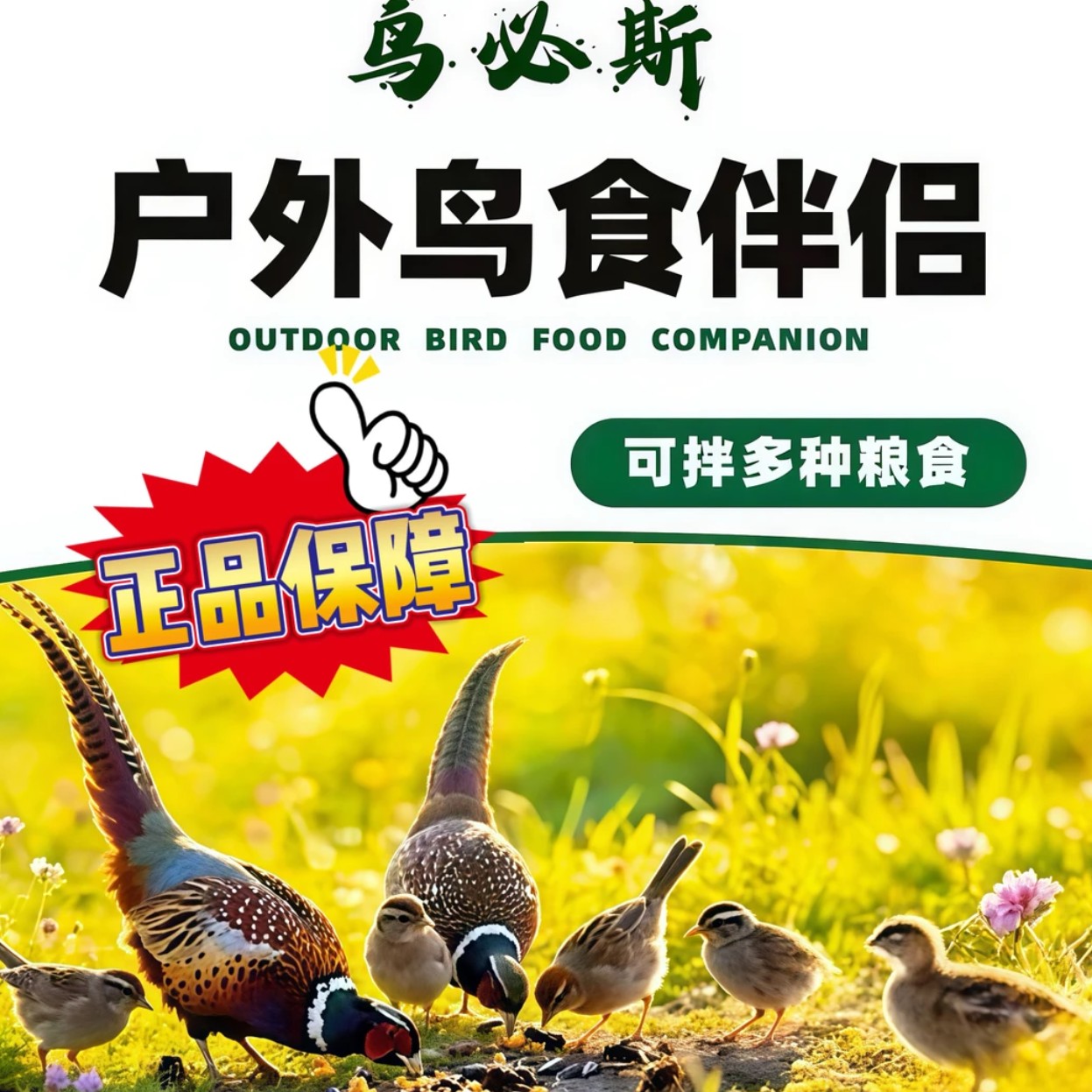 户外通用鸟梁伴侣精品五谷杂粮可拌