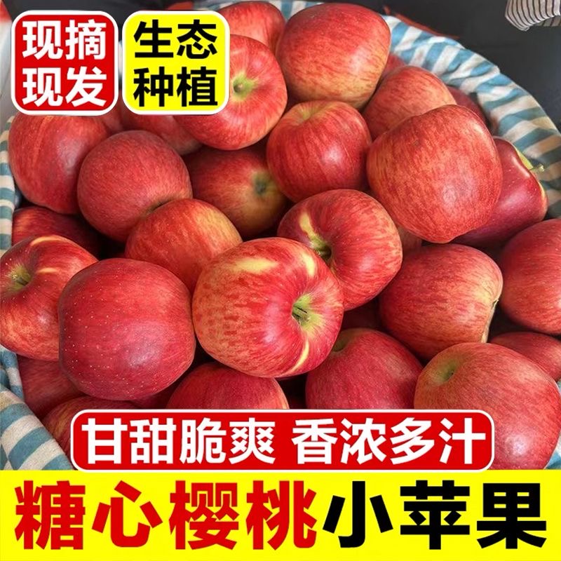 云南昭丑苹果冰糖心樱桃小苹果当季应季新鲜水果脆甜多汁现摘现发