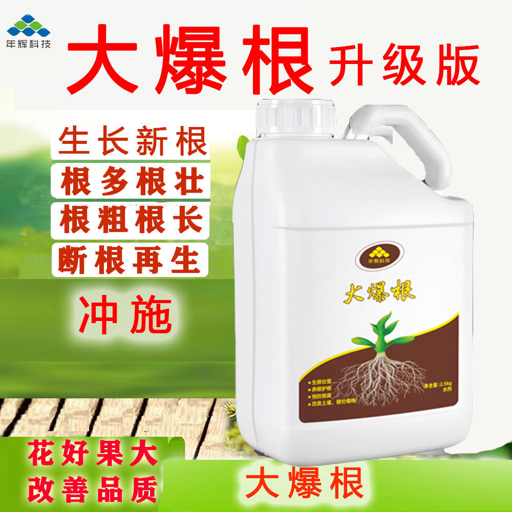 大爆根2.5kg升级版生新根根多根旺断根再生营养液