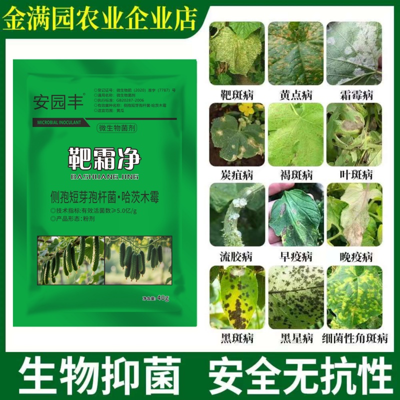靶霜净靶斑黄点霜霉叶斑流胶细菌性角斑黑星微生物菌剂蔬菜农用肥