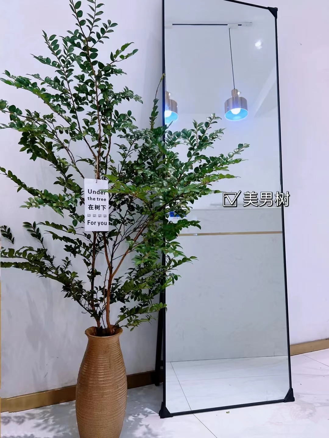 美男树水培室内客厅卧室装饰绿植懒人ins风植物吊钟马醉木同养护