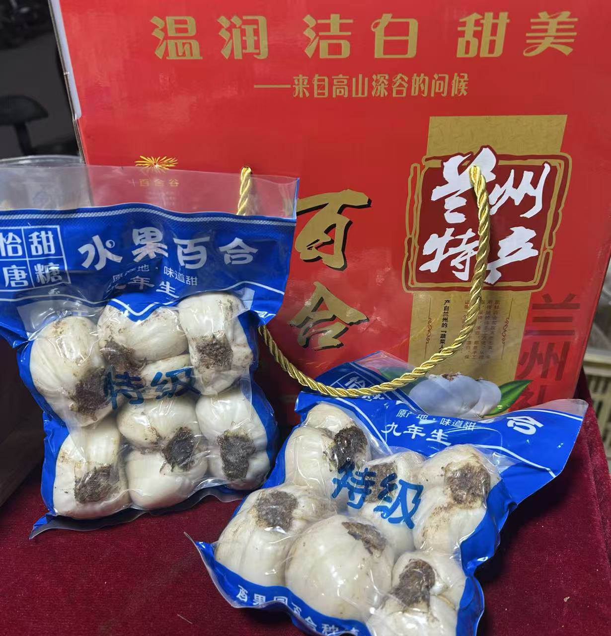 （大果）兰州鲜百合西果园高山甜百合真空礼盒包装