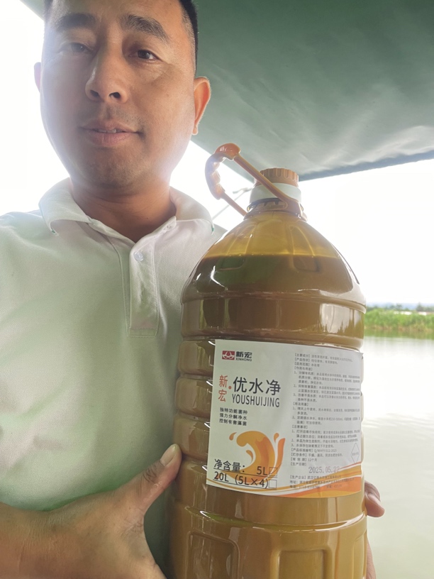 蓝藻水华克星降亚盐分解垃圾适用10亩到15亩（300一箱）