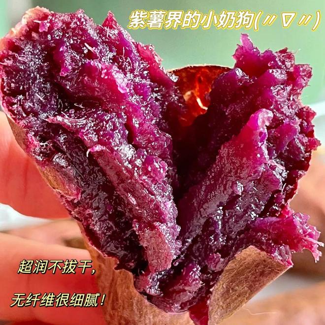 【云南高山沙地紫薯】黑美人为烤而生粗粮粉糯香甜蜜糖新鲜糖心紫薯