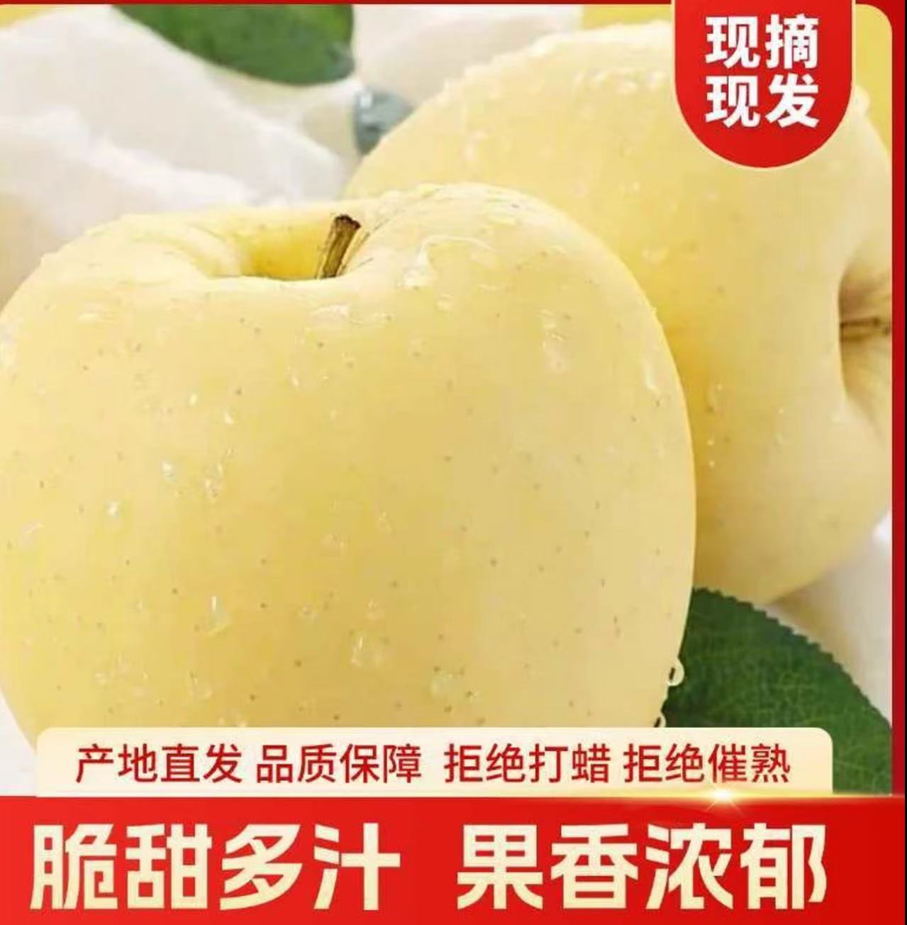 【顺丰到家】山东烟台奶油富士苹果新鲜当季水果脆甜多汁多仓发货