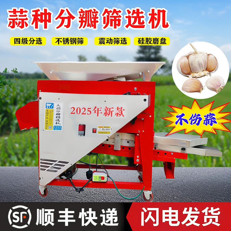 新款大蒜分瓣筛选一体机农用自动蒜种分选机家用蒜种分瓣精选机
