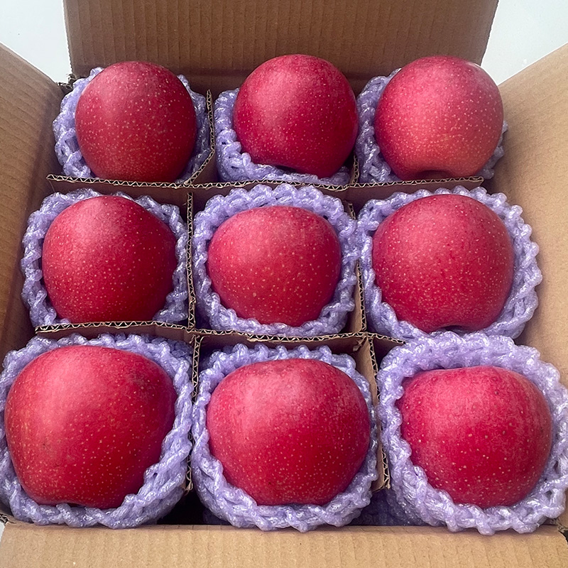 【早摘午发】粉面香甜高山秦冠苹果陕西当季新鲜水果老人宝宝刮泥丑