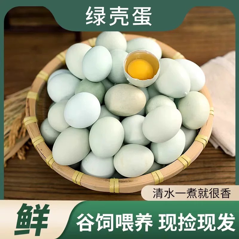 贵州深山农家散养绿皮蛋五谷喂养营养丰富