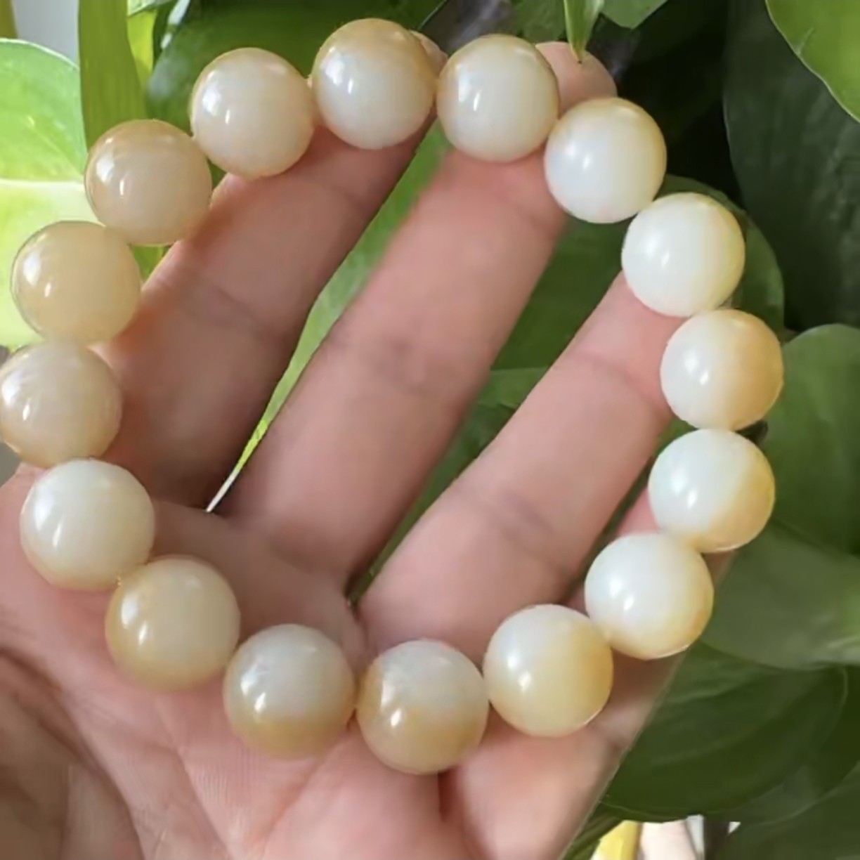 和田玉 且末金山 糖白手串 卡14mm