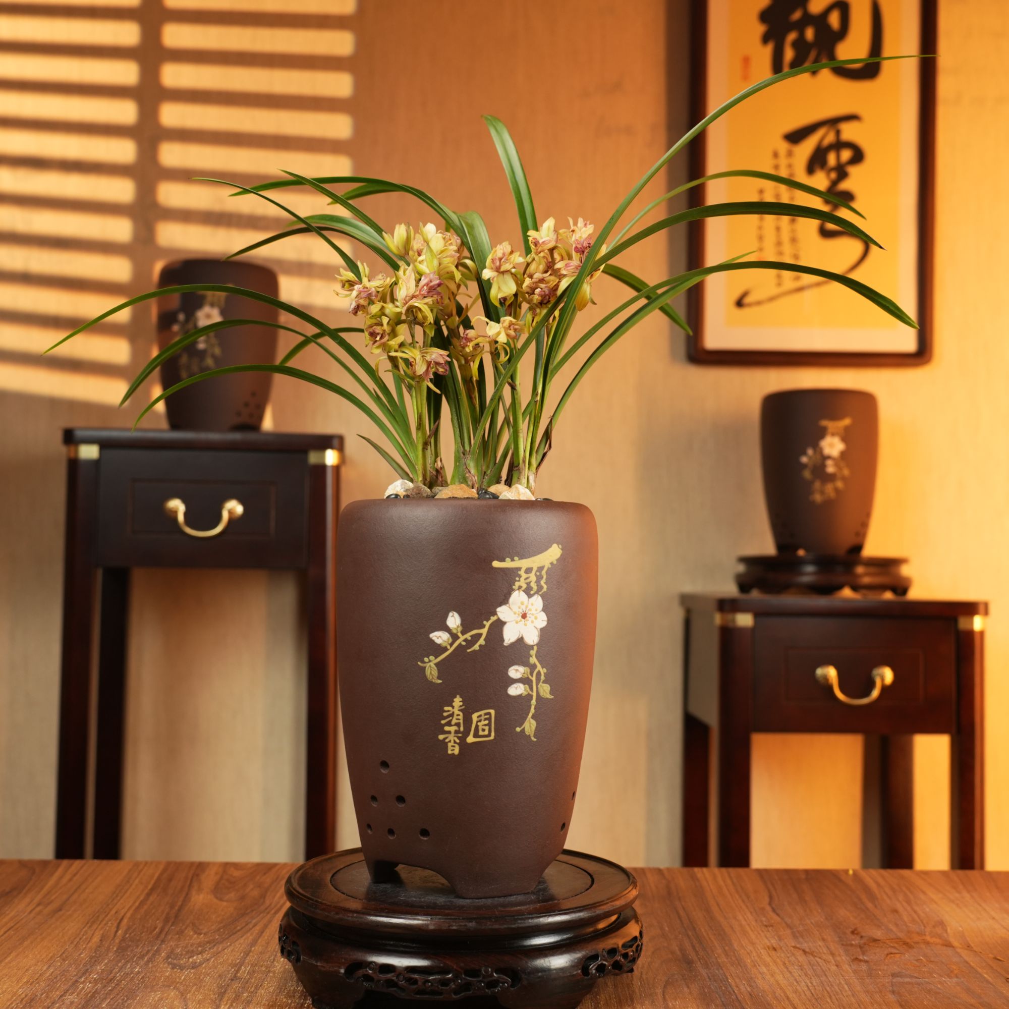 【老种国香牡丹】建兰四大奇花之首名贵带花苞浓香红色兰花室内外