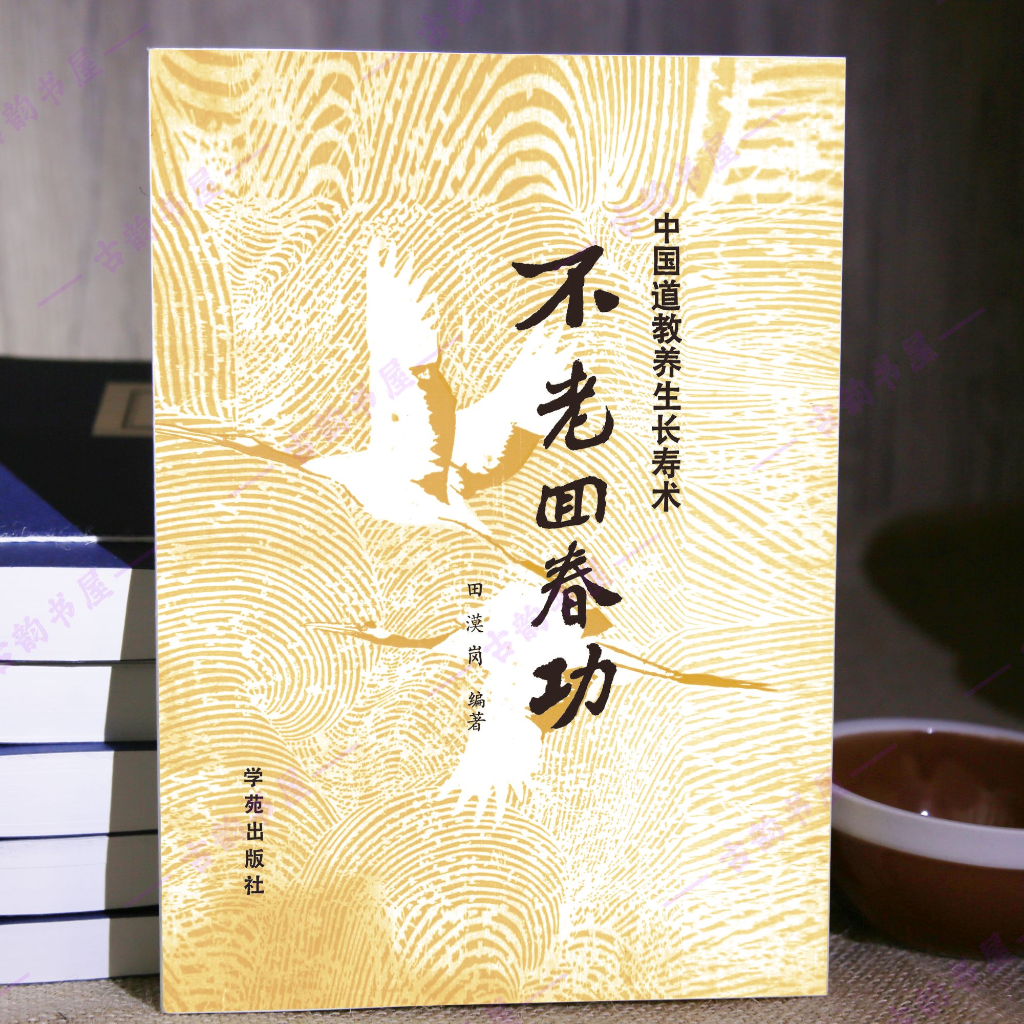 不老回春功 道家养生 1989年 田漠岗编著