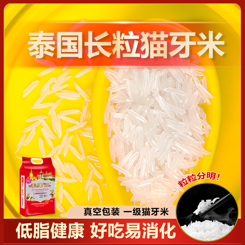 正宗猫牙米泰国原粮进口长粒香米颗粒清香茉莉香米5斤胚芽大米