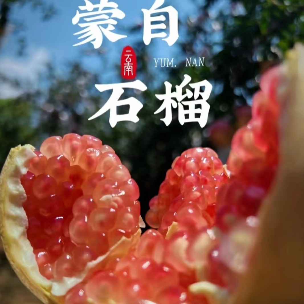 云南蒙自老品种薄皮甜绿籽石榴清甜多汁甜而不腻精品果现摘现发