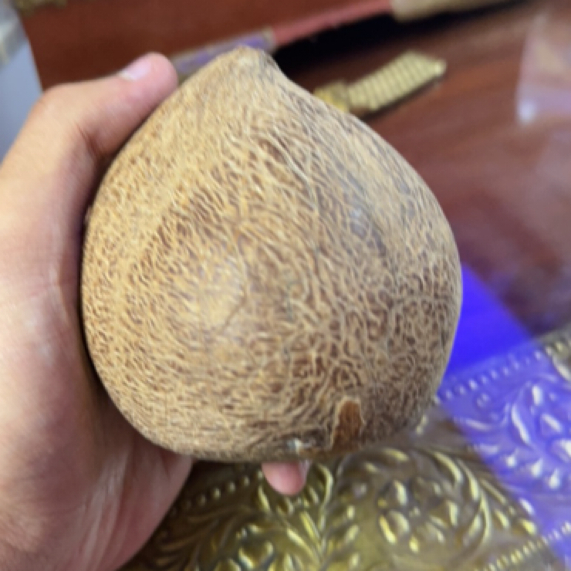 椰子椰子椰子椰子