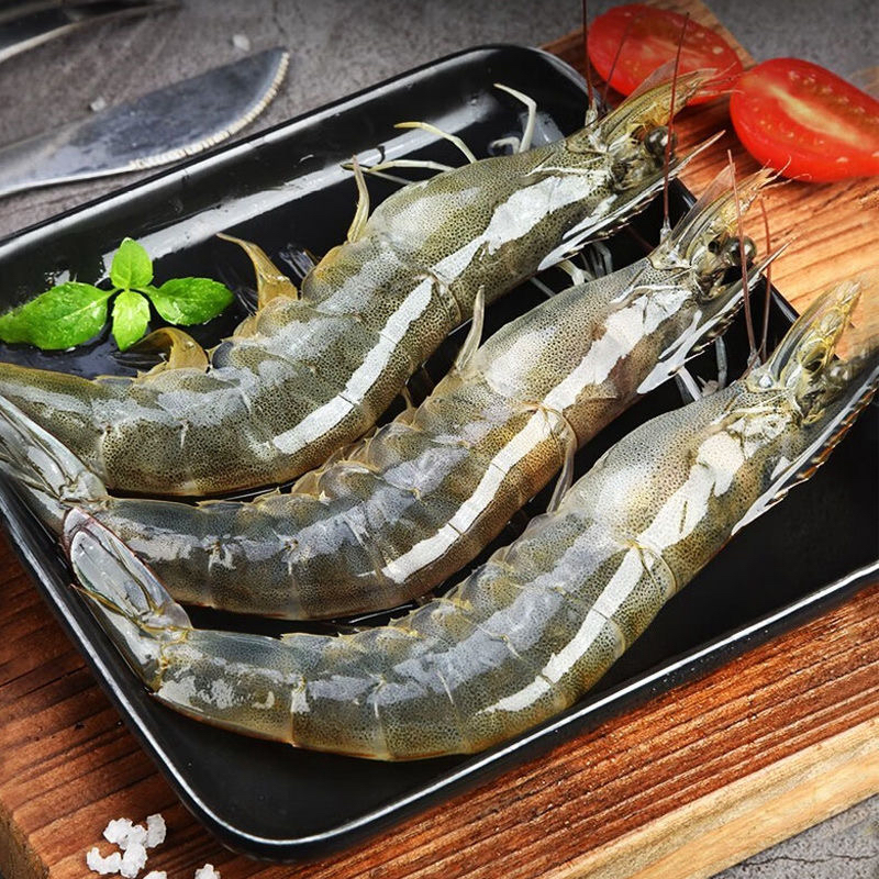 天津汉沽本地纯盐度汪子虾鲜活发（活冻发货）