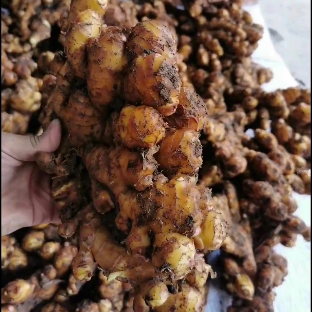 金华五指姜3斤5斤