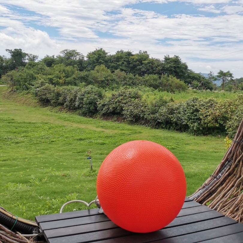 初学太极缠球两斤重直径30CM充气大球防滑按摩