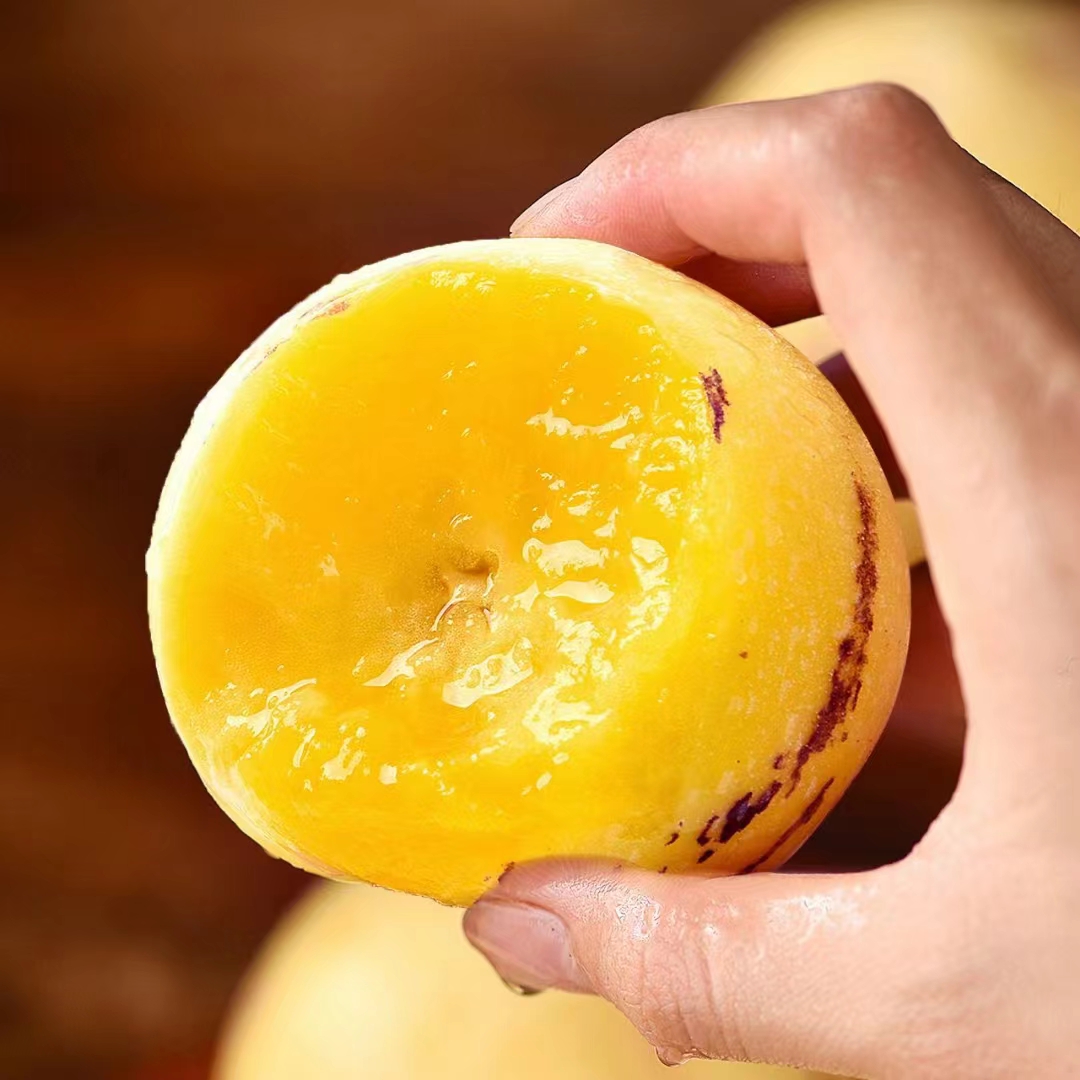 【云南树熟人参果石林】树上熟人参果黄肉圆果爆汁新鲜水果净重5斤