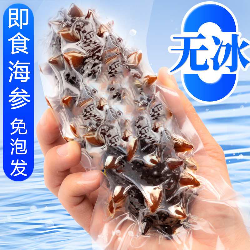 顺丰冷链大连即食海参手提礼盒送长辈鲜活冷冻水产免泡发开袋即食