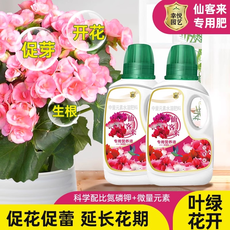 仙客来浓缩营养液花肥兔耳花四季仙客来专用肥料迎客仙鹤来液体肥