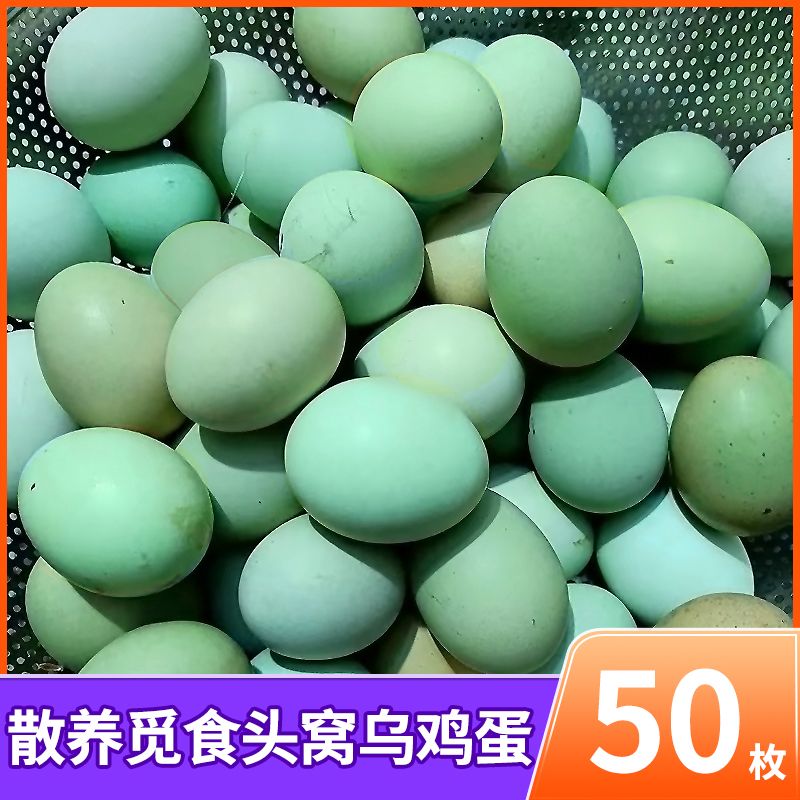 【助农】50枚正宗乌鸡蛋30枚绿壳蛋新鲜散养农家纯天然生态喂养现捡