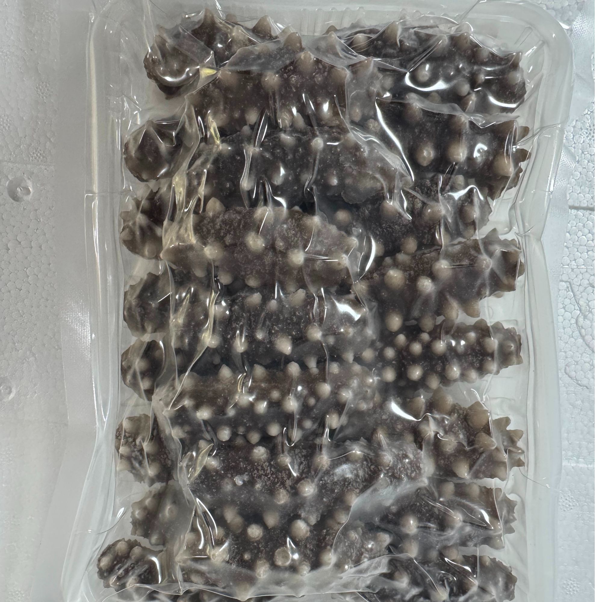 【熟】即食海参辽参（大连金石滩深水纯野生）