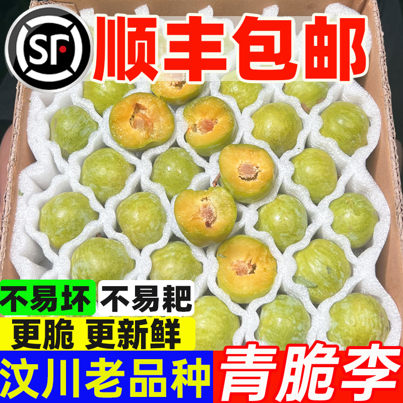 【顺丰包邮】四川汶川老品种脱骨青脆李当季新鲜水果土李子