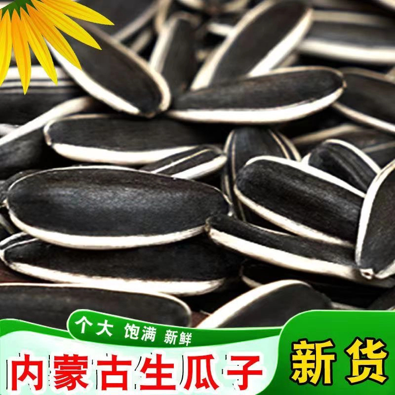 新鲜生瓜子葵花籽新货特大颗粒原味生瓜子坚果零食