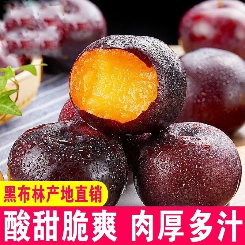 陕西现摘黑布林李子5斤新鲜脆甜当季水果软硬两吃黑布朗