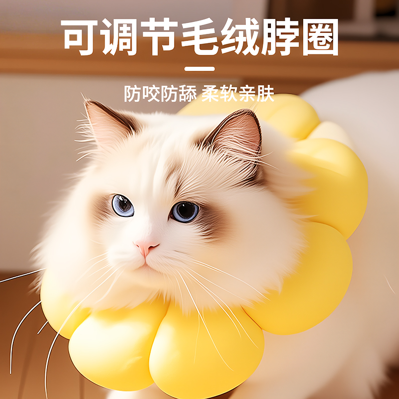 伊丽莎白圈猫咪狗狗项圈小猫绝育术后护理防抓防舔咬项圈宠物用品