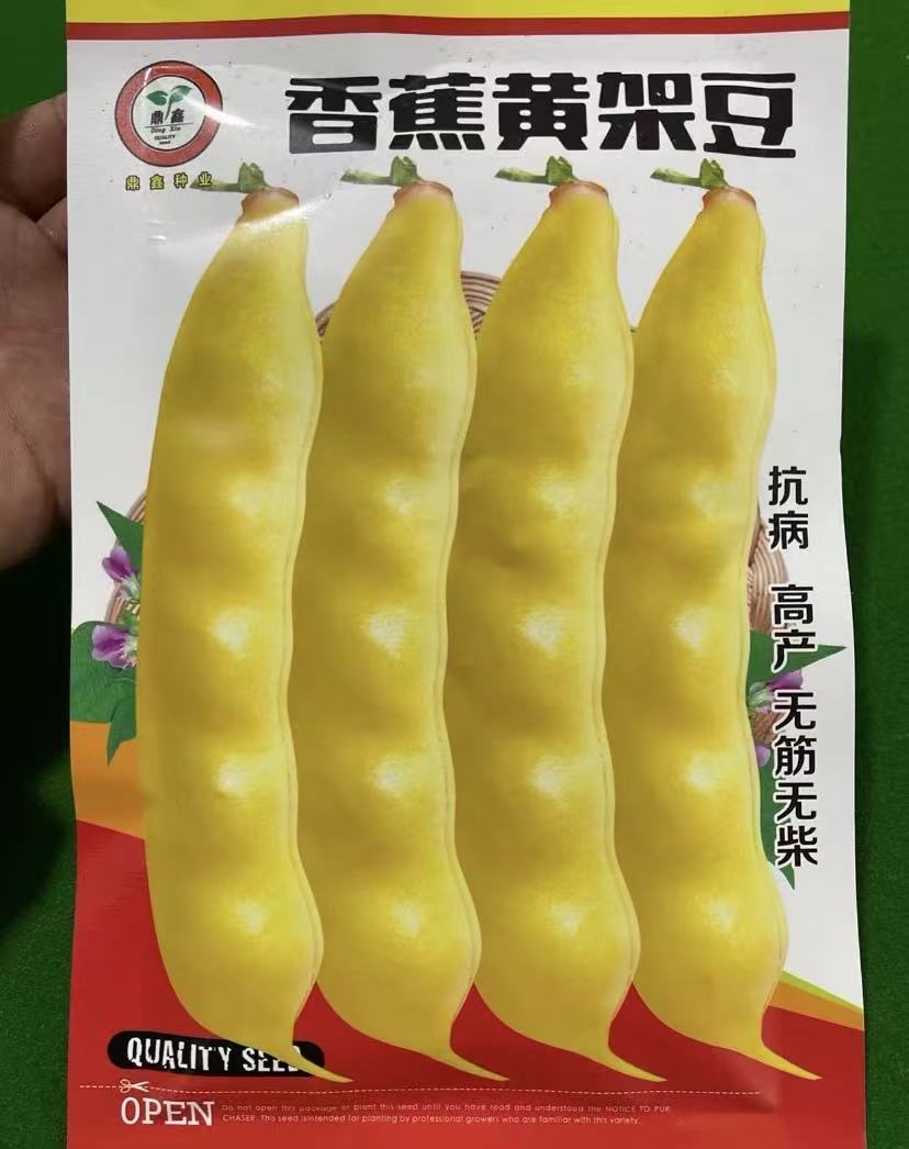 【香蕉黄豆角籽种子】家庭阳台小院盆栽地栽四季种植