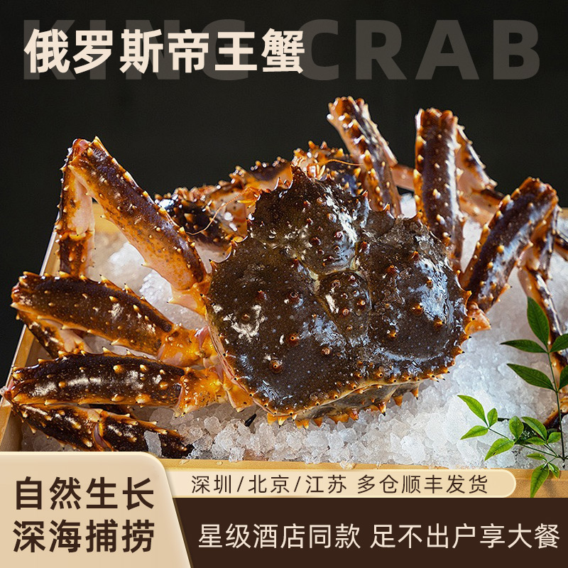 进口帝王蟹 鲜活速冻俄罗斯帝王蟹深海捕捞 年货送礼 超大螃蟹