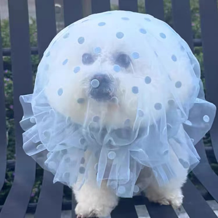 狗狗外出防乱吃头套舒适透气中大型犬专用嘴套防咬人误食防舔网套