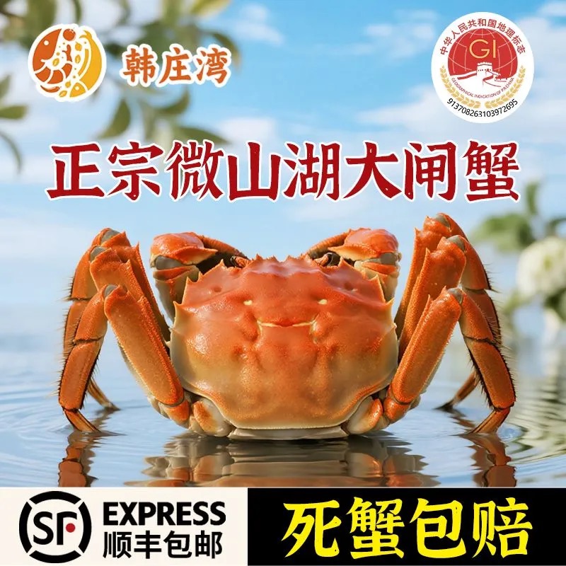 韩庄湾【活蟹】微山湖大闸蟹2.0-2.3两8/10只母蟹礼盒净重足斤足量