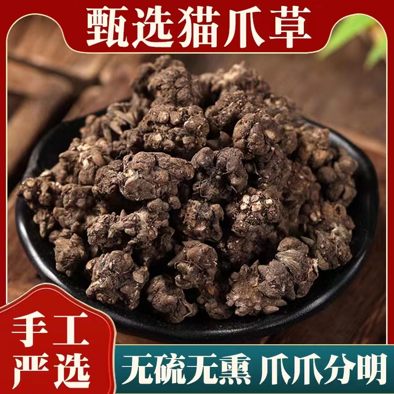 野生猫抓草水洗两遍猫爪草新山区特产干货深山采摘猫瓜鱼腥草