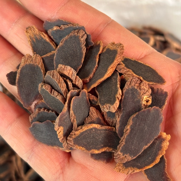 「金边黑参片」中缅边境纯野黑参主根切片菊花纹纯干无糖100克起