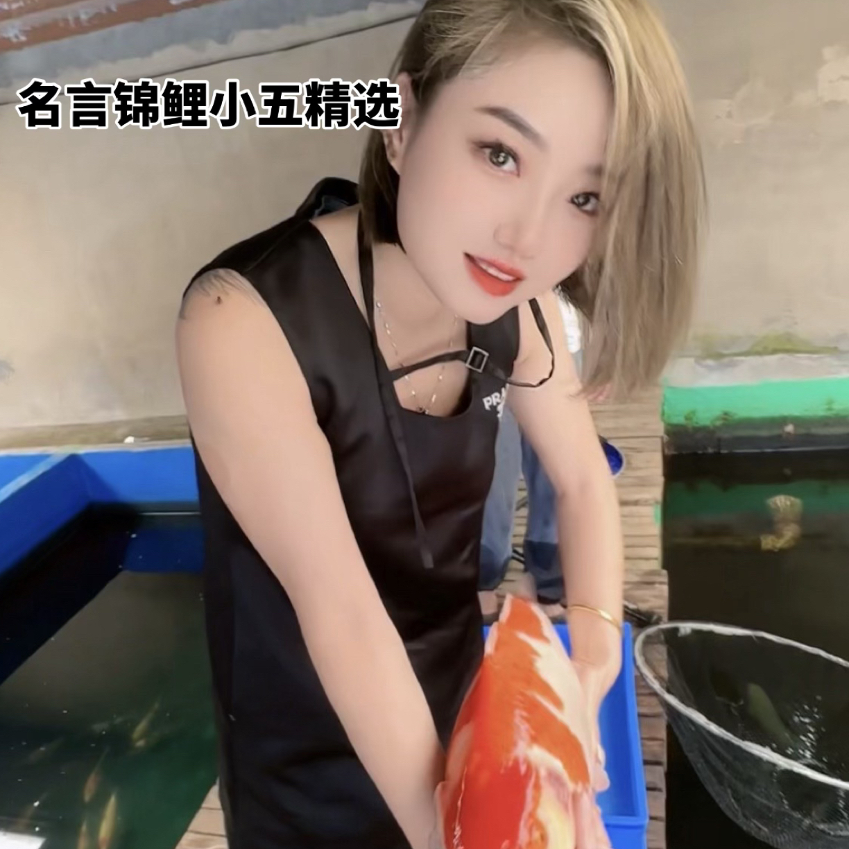 名言锦鲤头牌秒杀