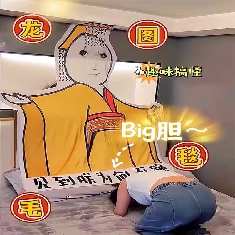大胆龙图毯子午睡毯搞怪见朕为何不跪皇帝皇上搞笑龙袍表情包午休