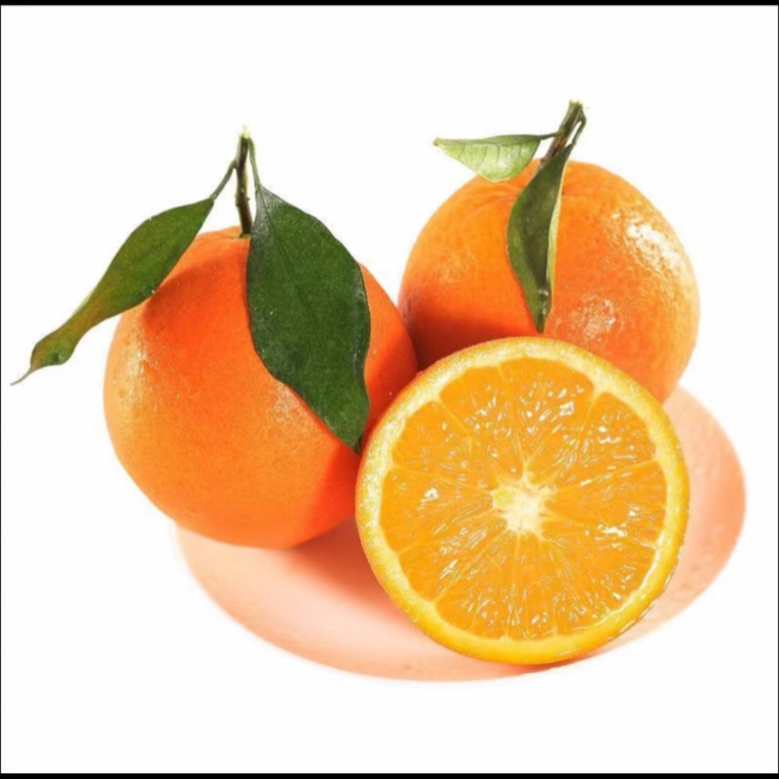 湖南道州下蒋脐橙新鲜种植当季水果现摘现发十斤装包邮