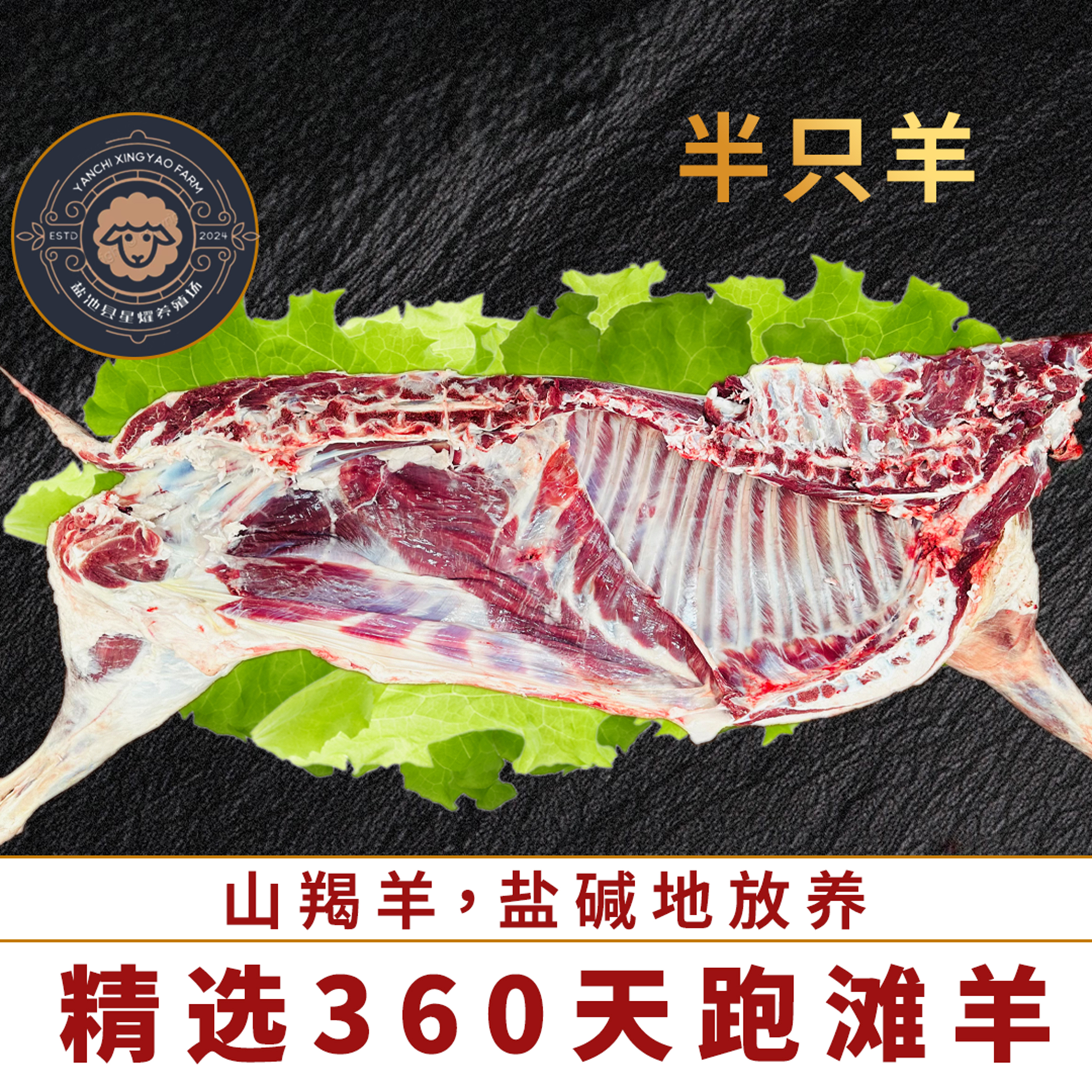 宁夏滩羊半只羊牧场散养跑滩羊肉