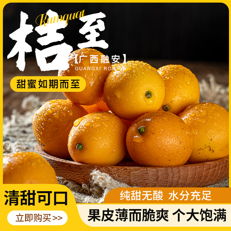 广西融安滑皮金桔当季水果脆皮小金桶纯甜
