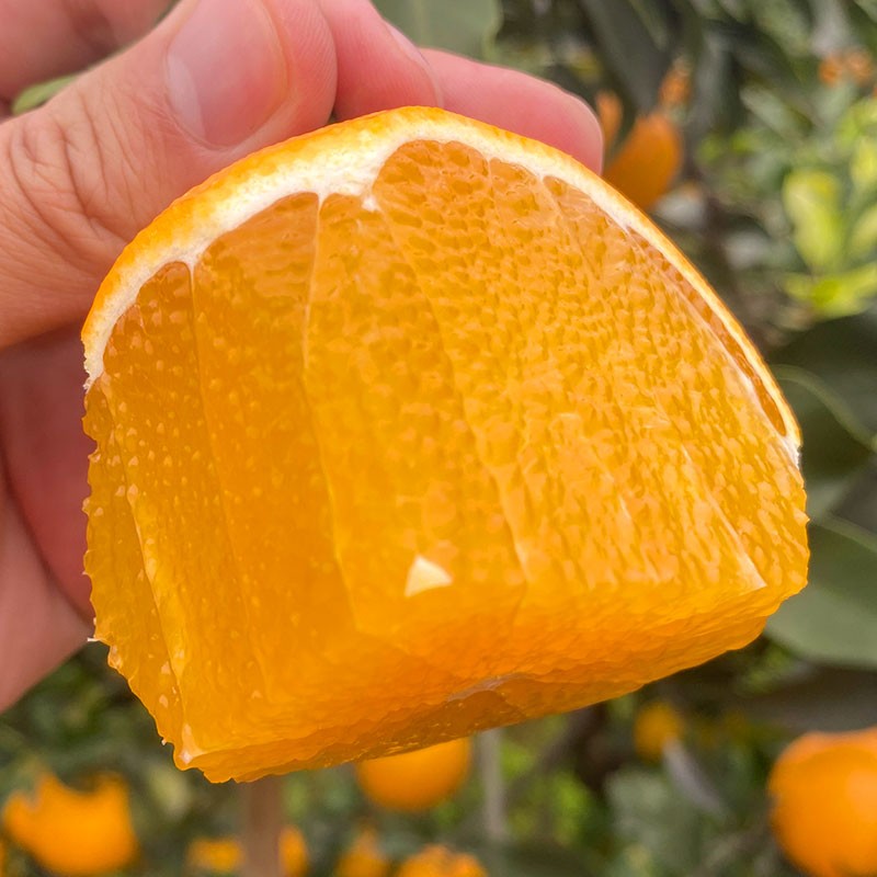 四川眉山爱媛38号果冻橙甜嫩多汁化渣好新鲜现摘应季水果
