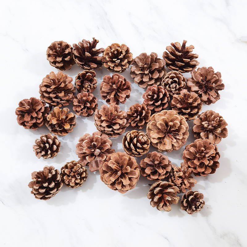 【花约】松果圣诞树DIY装饰材料摄影道具圣诞节花束花艺配饰干花